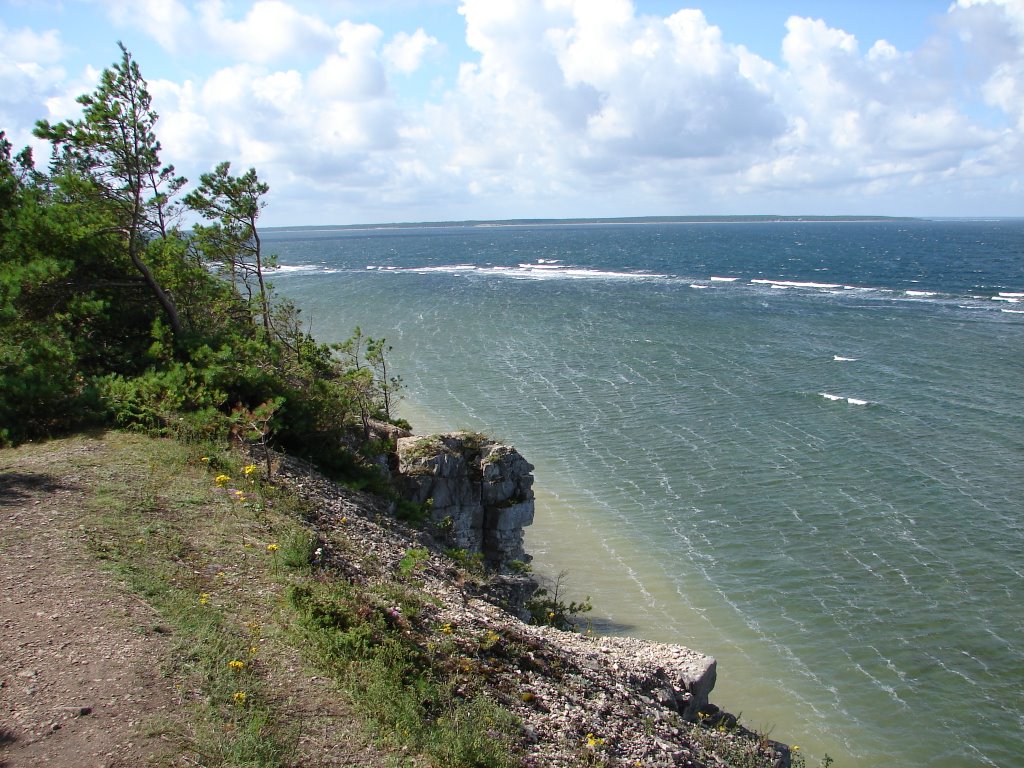 View from Panga cliff, Saaremaa by Janek Savik