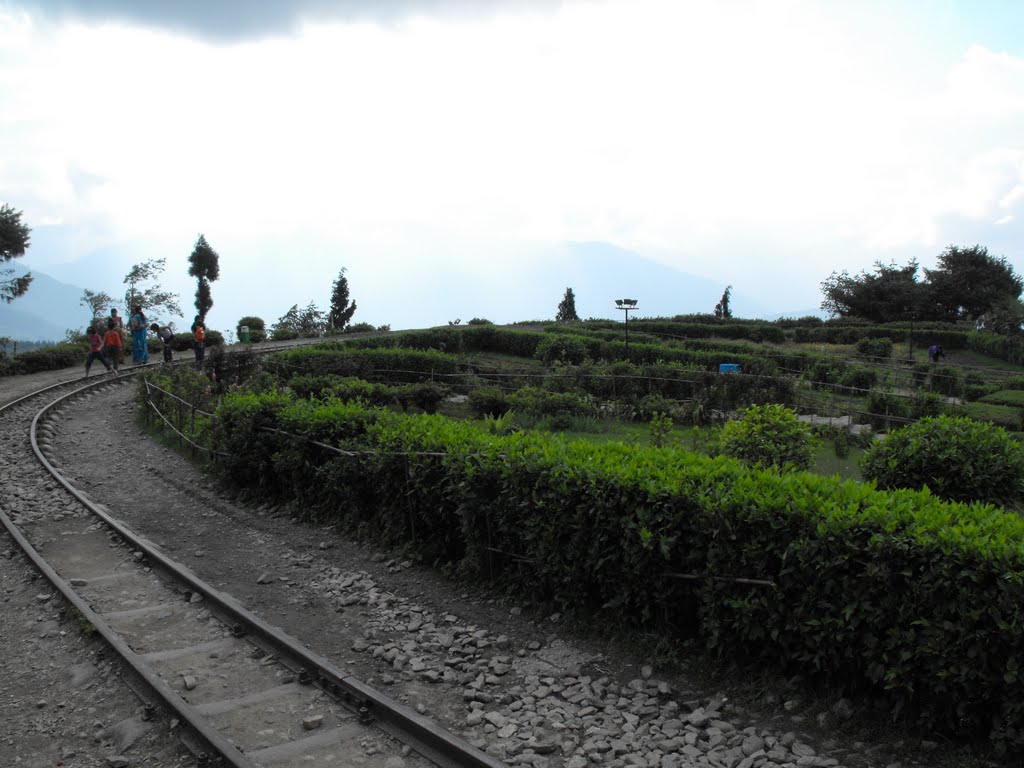 Batasia Loop - Darjeeling by yanivp31