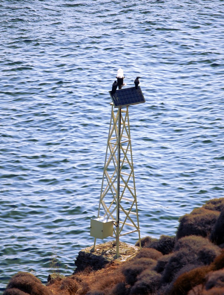 Two birds on a lighthouse by kanianitis