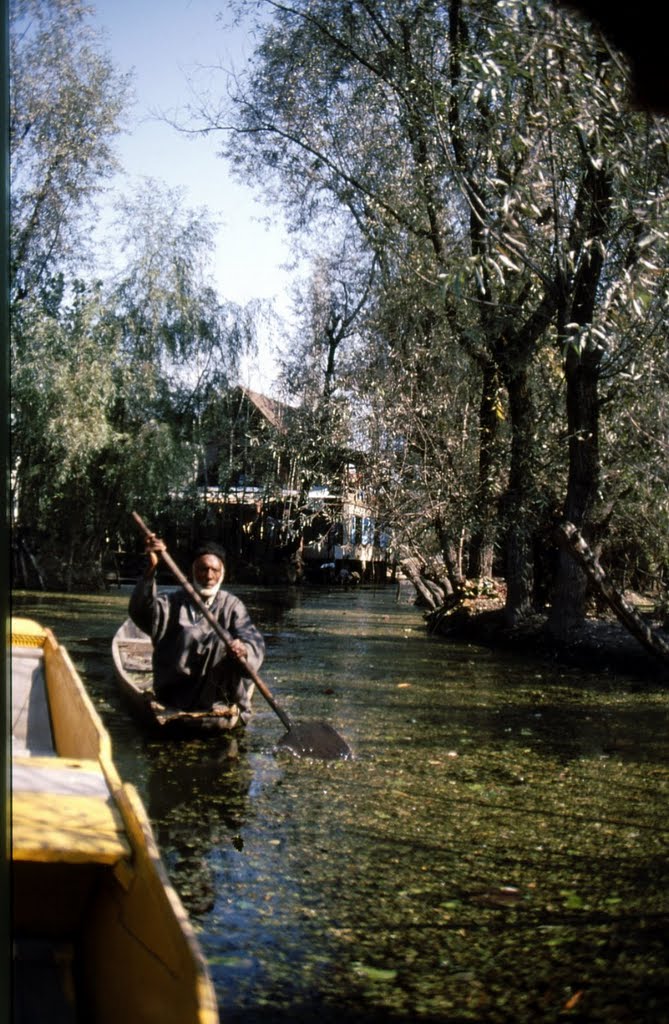 CAIXMIR , SRINAGAR , Llac Dal by JOSEP Mª LLONC SABAT…