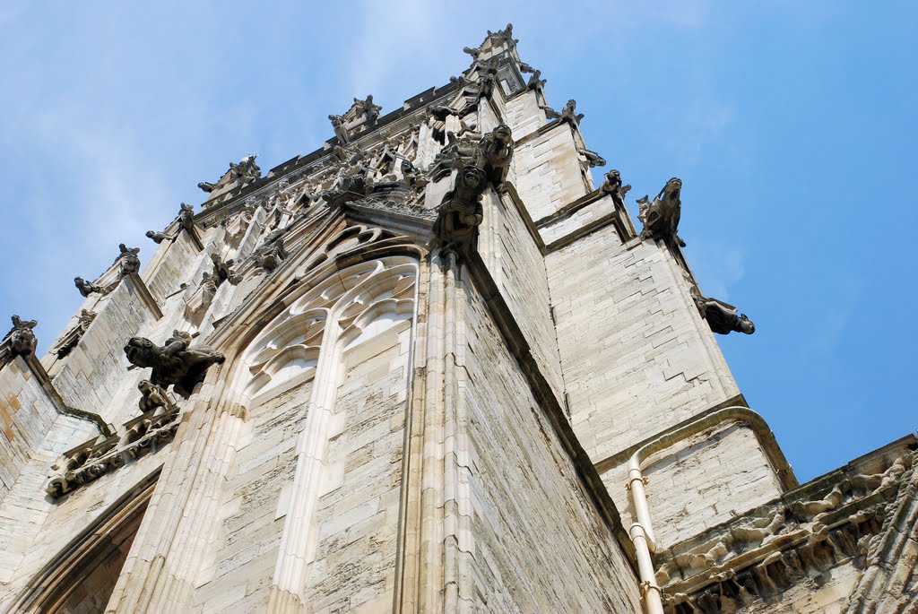 York Minster gargoyles by Paul and Sue