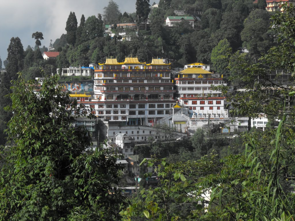 Druk Sangak Choling Gompa - Darjeeling by yanivp31