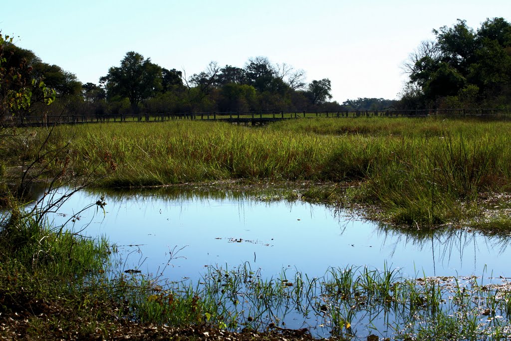 Ngamiland East, Botswana by Héres