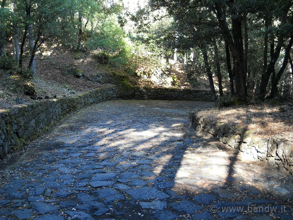 Altomontana dell'Etna - Verso il Rifugio Bosco Nave by www.bandw.it