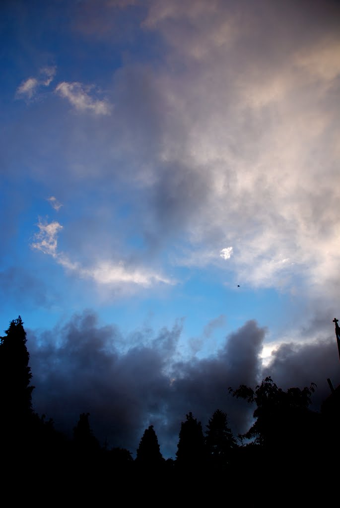 After The Storm Portrait by Mattnicho