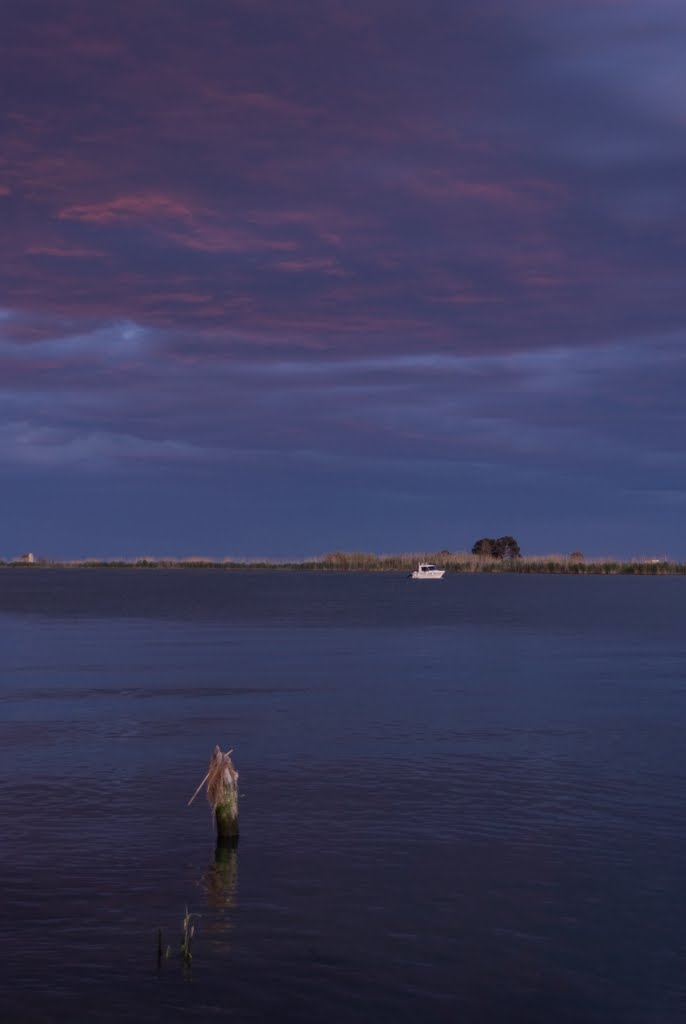 Delta del Ebro by José F. Montes