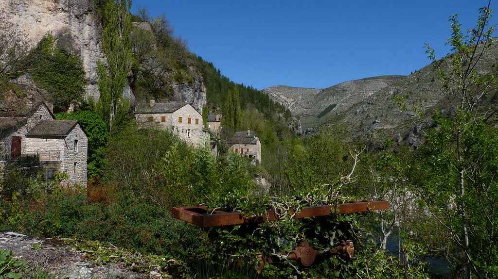 Cevennes - gorges du Tarn by François L.