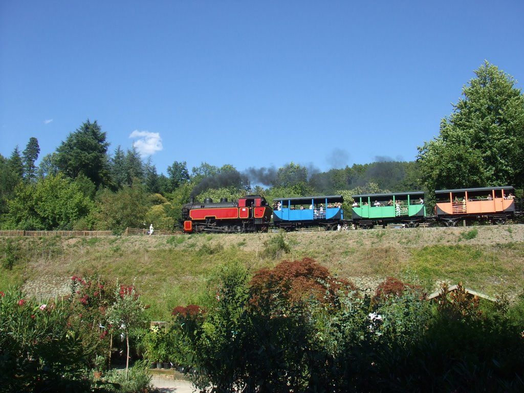 Le train des Cévennes by nschwein