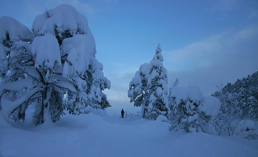 Vinter i Moldemarka. by Bjørn Fransgjerde