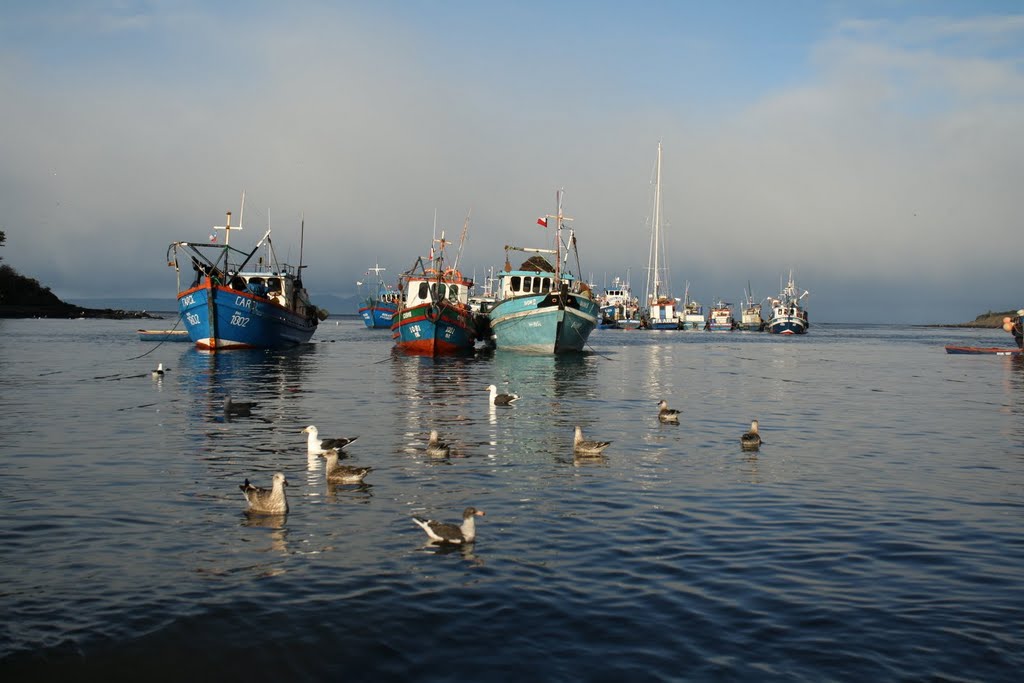 3 barcos. Puerto Hambre - Punta Arenas by mauro.andreoli