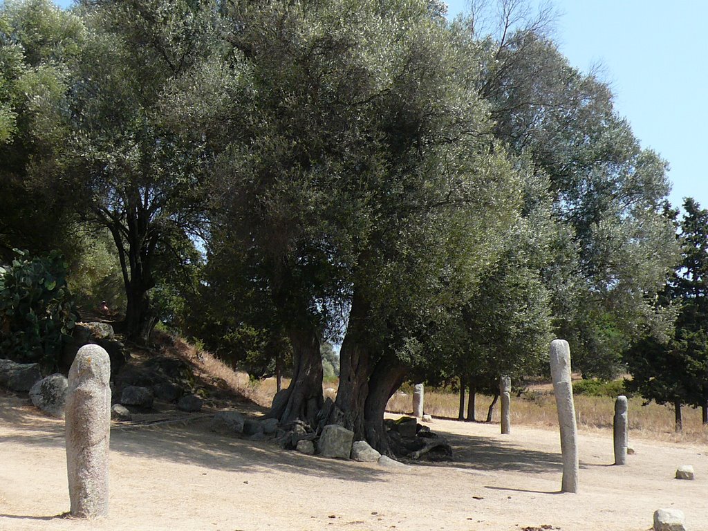 Ronde des Menhirs Filitosa by silvia0259