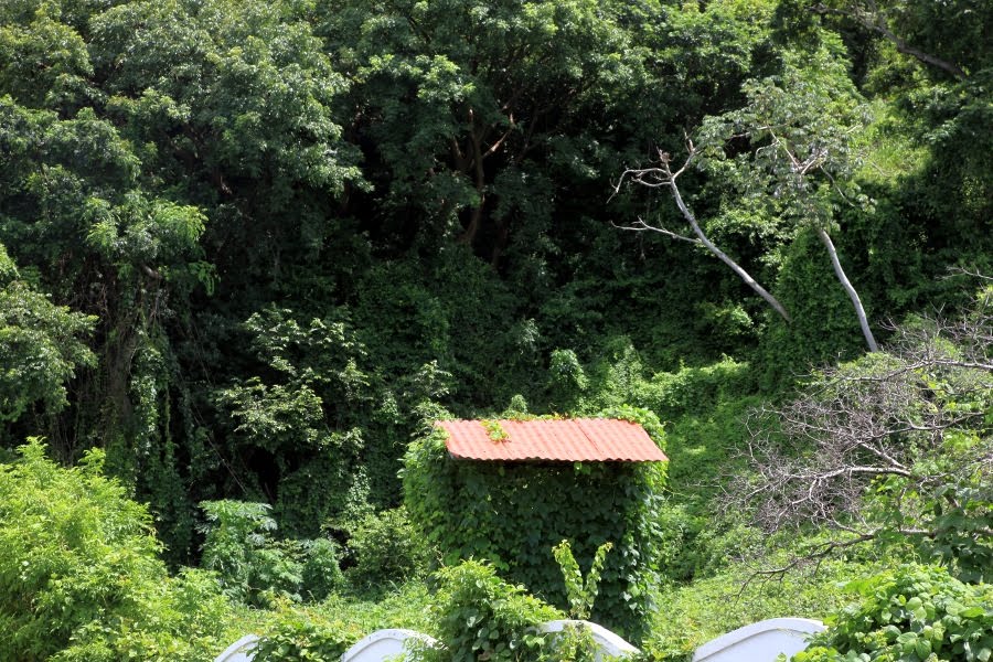 Isla Perico, Panama by Len Gao