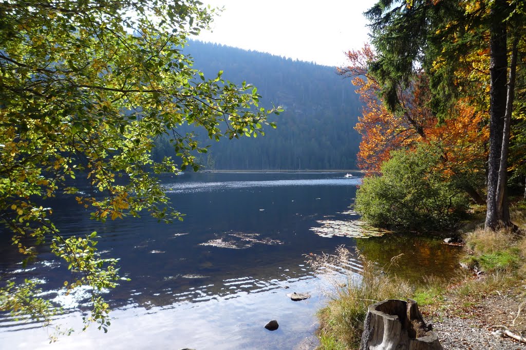 Großer Arbersee by Salivo