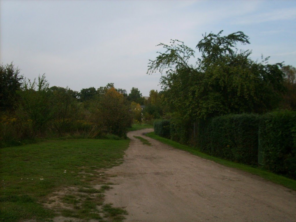 Saaleaue, Halle (Saale), Germany by Jörg Hofmann