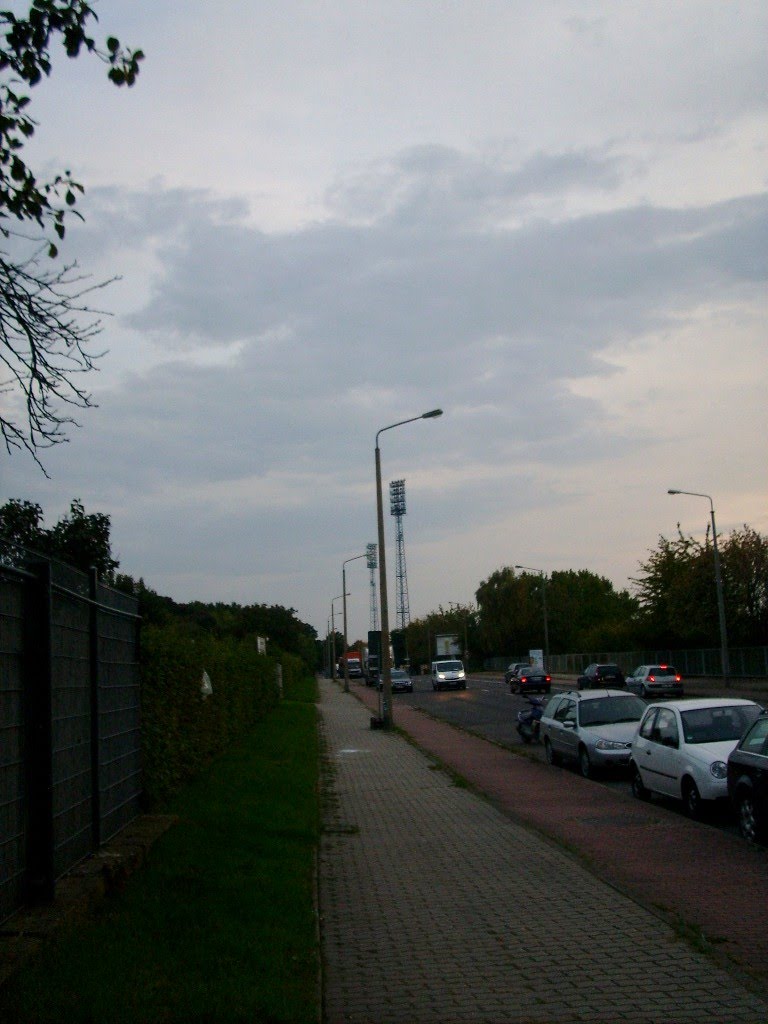 Straße der Republik, Ecke Flurstraße,Blick Richtung Süden, Halle 2010 by Bogenmann