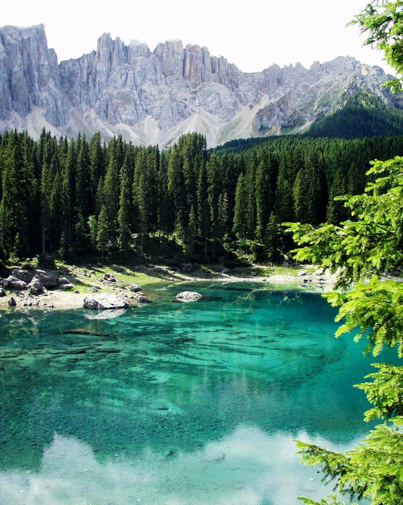 Lago di Carezza by Roberto Ribotta