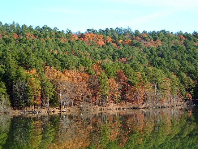 Cove Lake Fall Colors by ToddHoopes