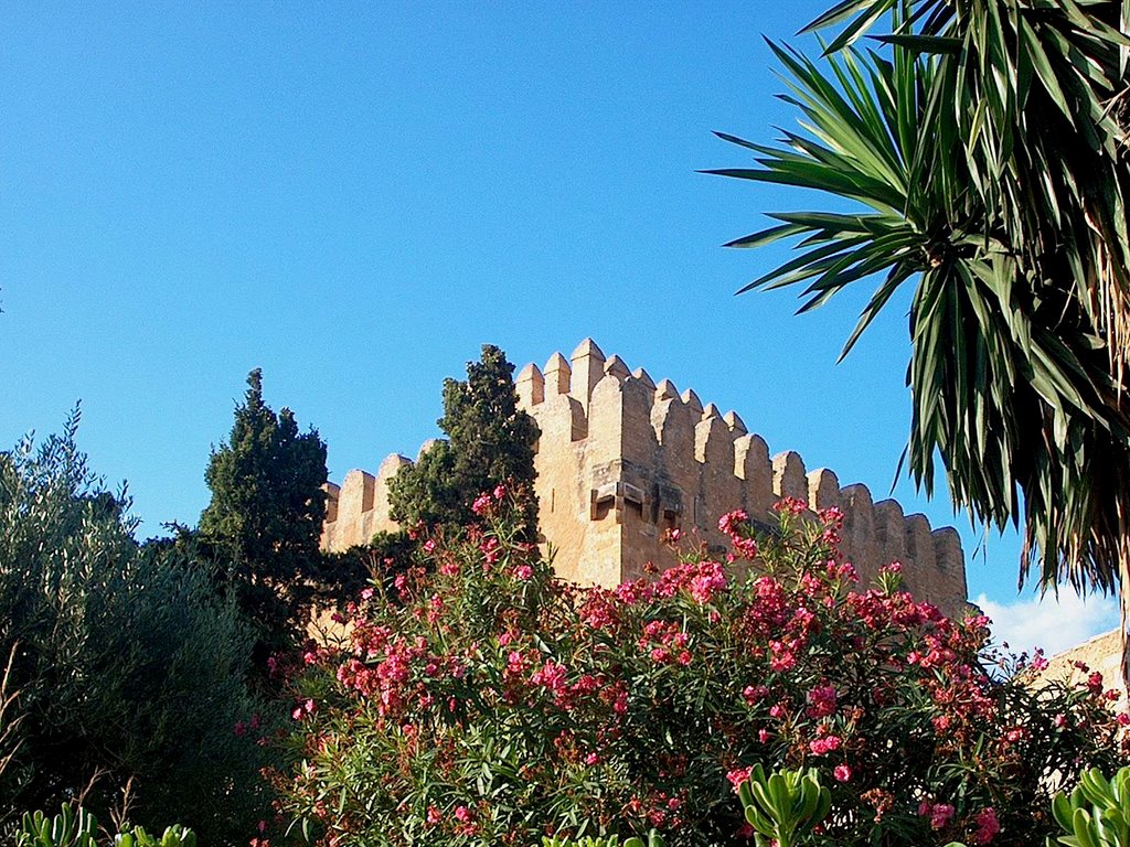 Castillo de Canyamel by Barbara Kiss