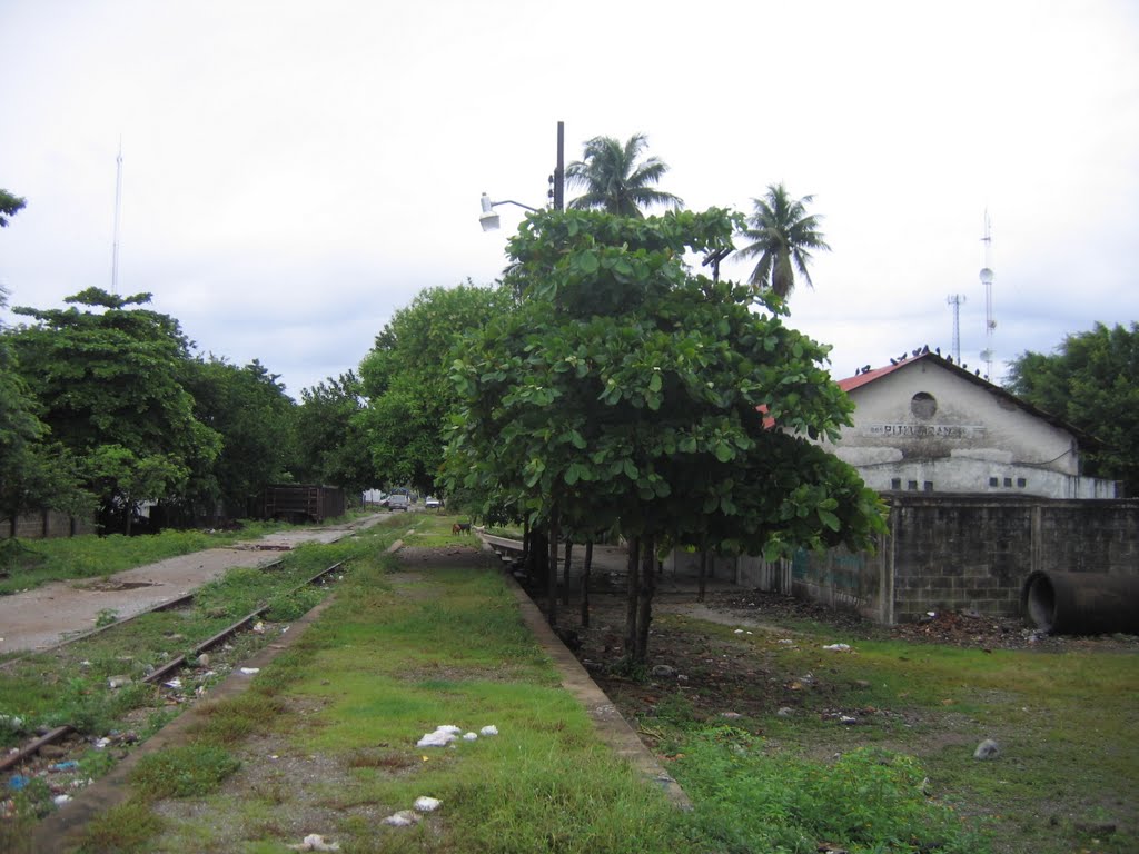 Estación ferrocarril Pijijiapan by waldwind