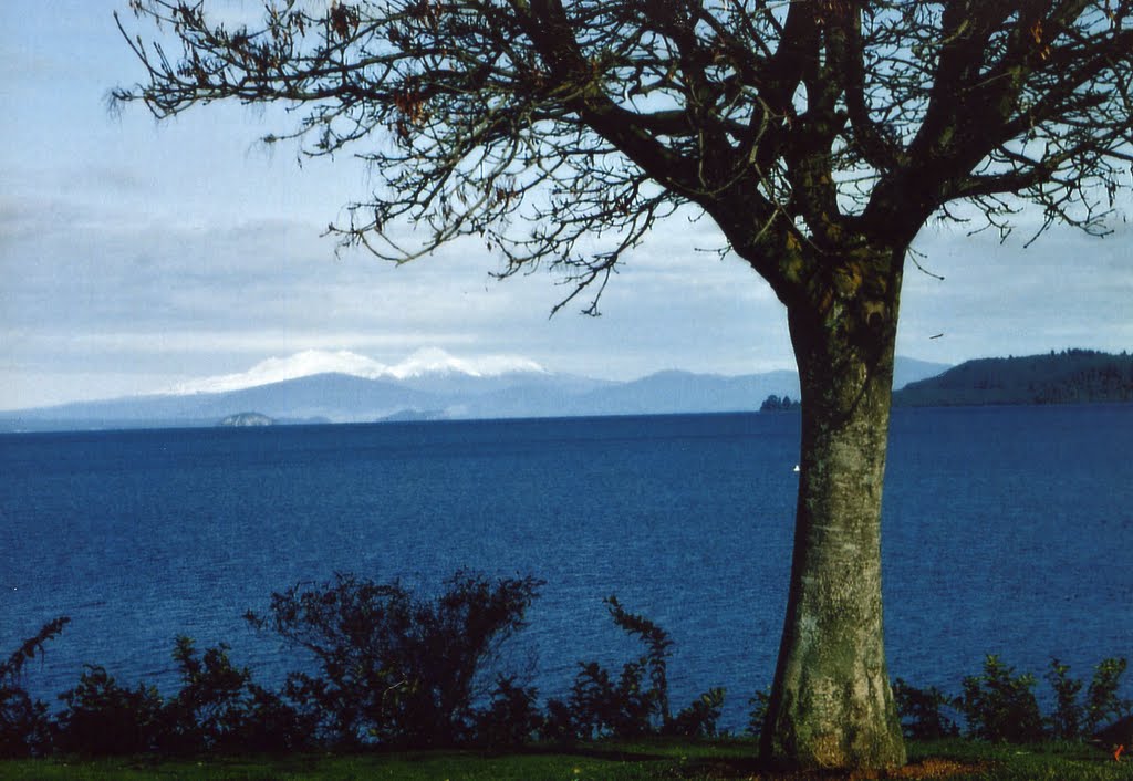 FOTOGALERIE ROLF ZIMS: 1992 Neuseeland, Lake Taupo by Fotogalerie-Rolf-Zims