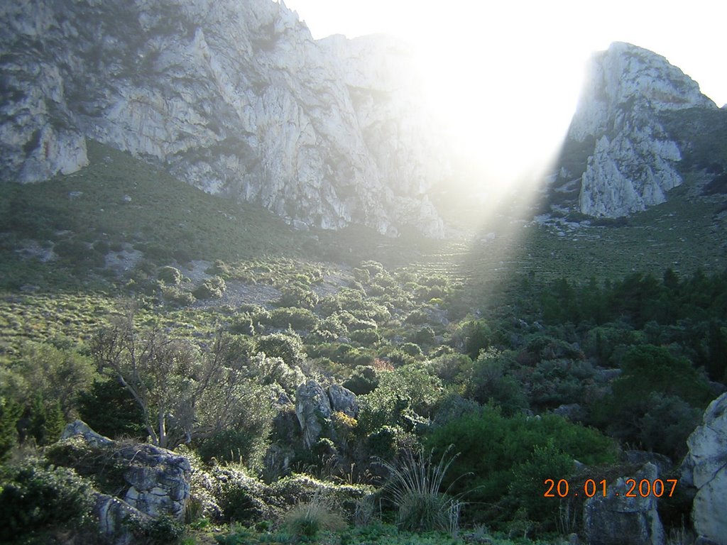 Riserva Capo Gallo by Astragalo