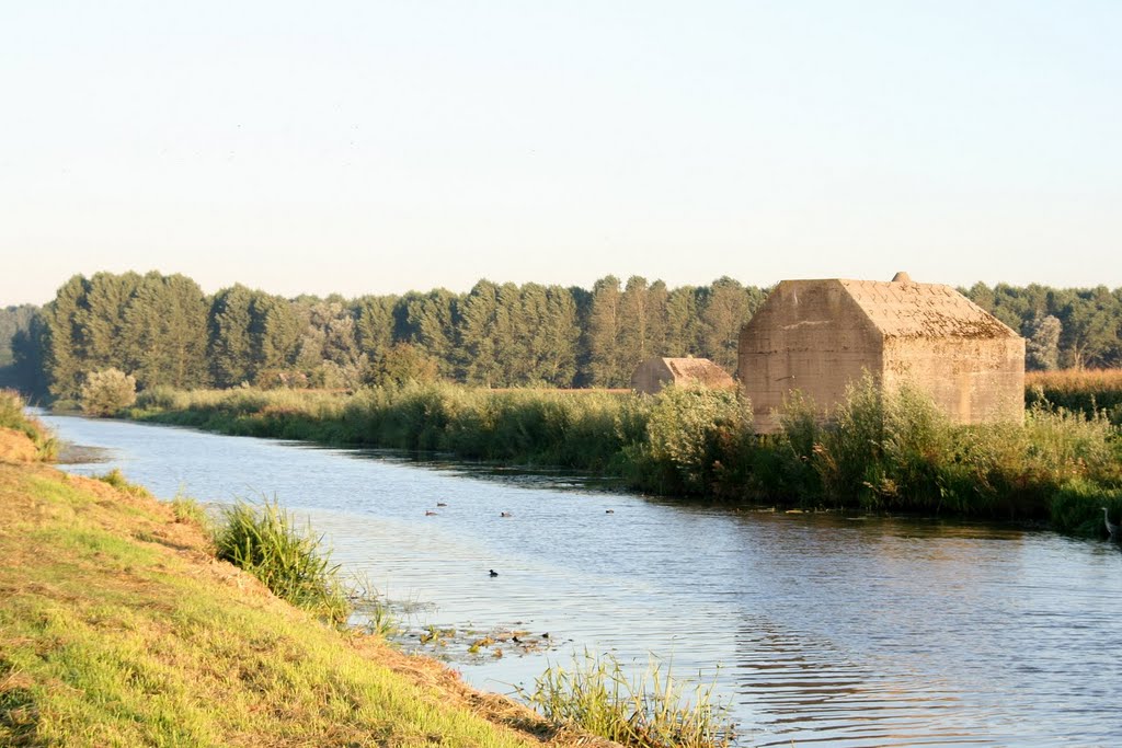 Werkendam - Uppelse Steeg : Bunker by Scholte