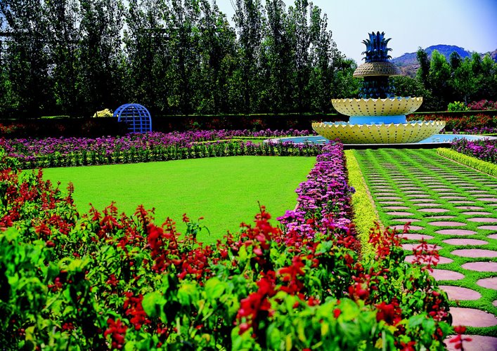 Honey Gardens 9 by Ramoji Film City