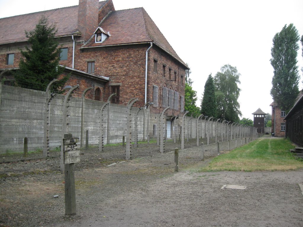 Auschwitz, Poland by Lucien Kivit