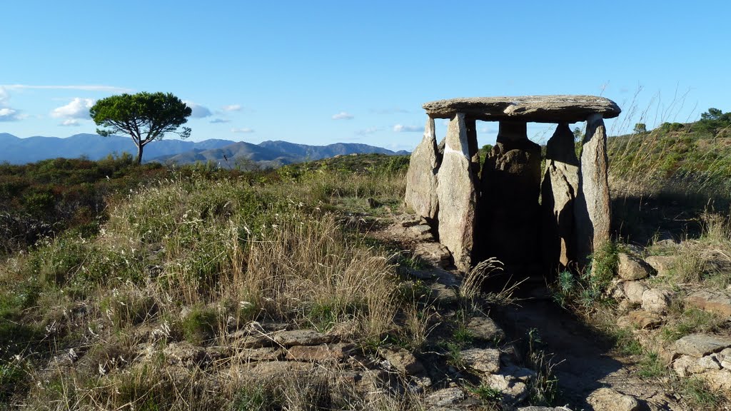 Dolmen des vignes mortes by gmbgreg