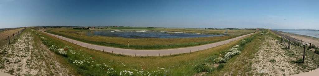 Texel - Molwerk / Mokbaai Dijk - ICE Photocompilation Viewing from WNW to ESE on De Petten by txllxt