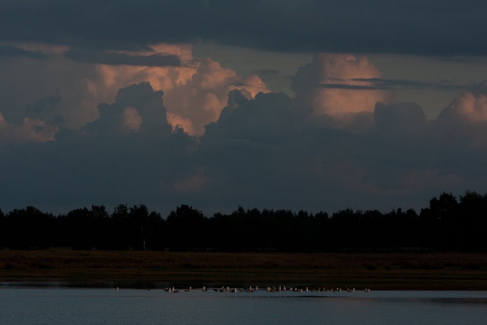 Avond op scharreveld by Erik Uiterlinden