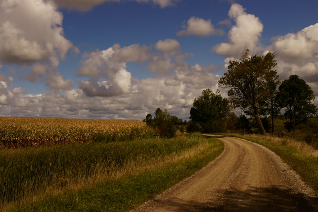 The somewhat long and partially winding road by larry e walton