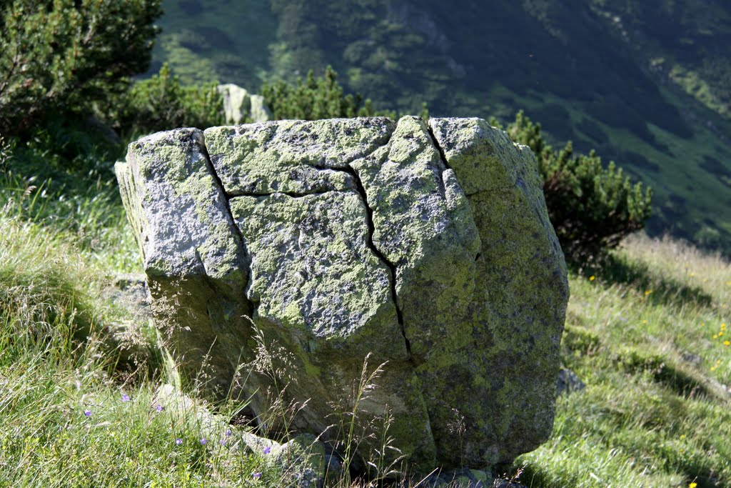 Žiarska dolina - cracks in granite block by Jan Madaras