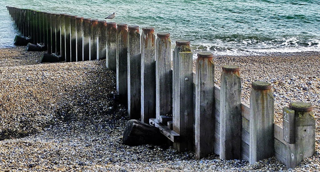 Defence against agressive swells.Eastbourne. by Feika