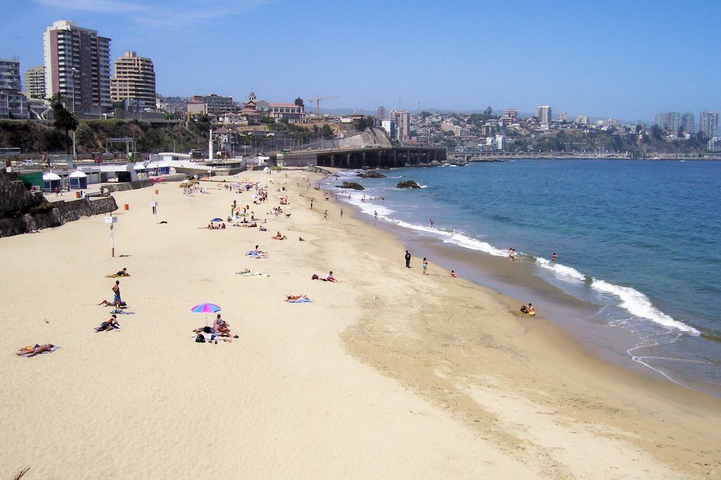 Playa Caleta Abarca, Viña del Mar, Chile by Luiar