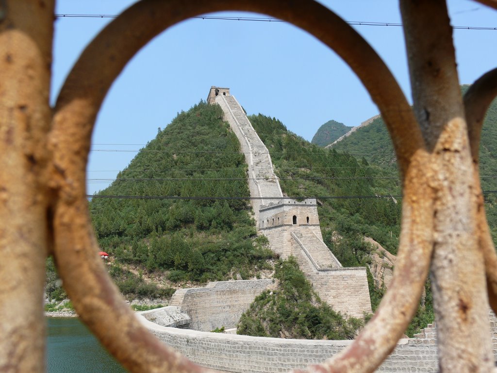 Yellow Flower Great Wall by Irish Shagua