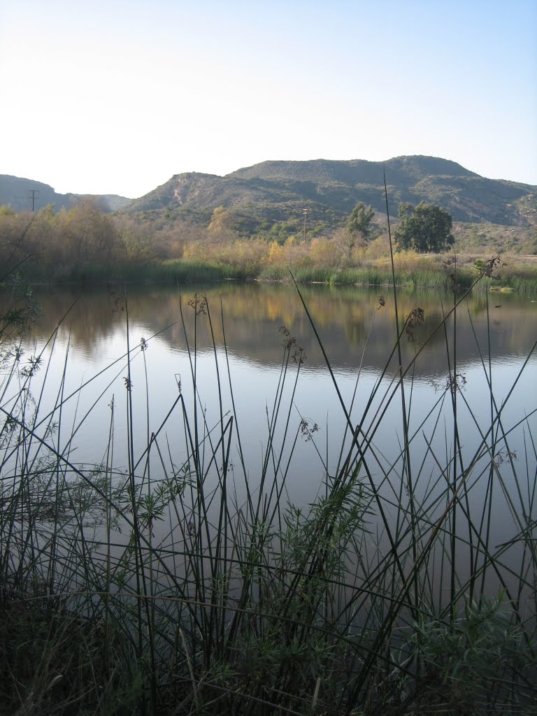 Bubble's Pond by Californio