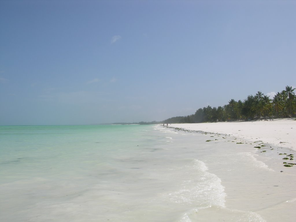 Zanzibar - Paje beach 2 by Paolo Grassi