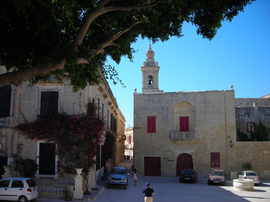 Mdina by Treverer