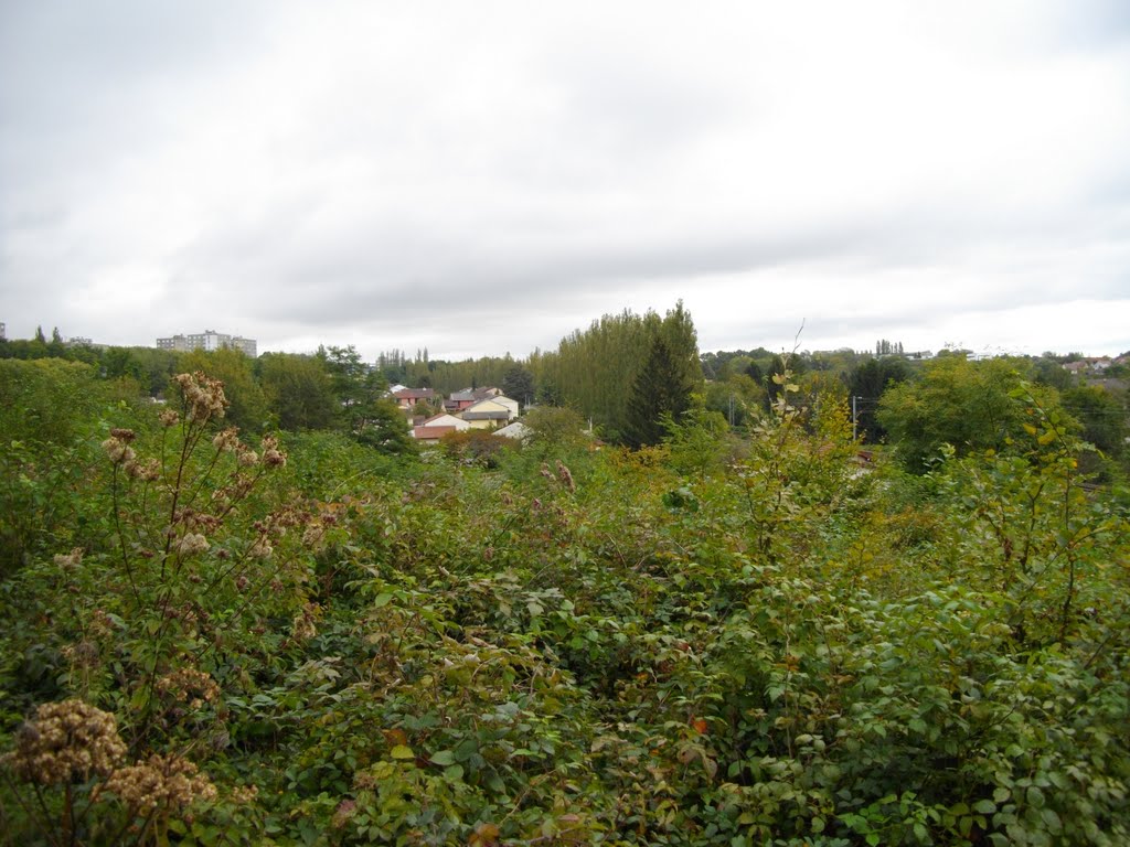 Vue des pavillons de la Zup by Claudius B.