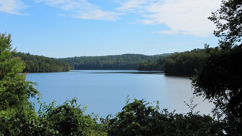 New Croton Reservoir Swans by thearch