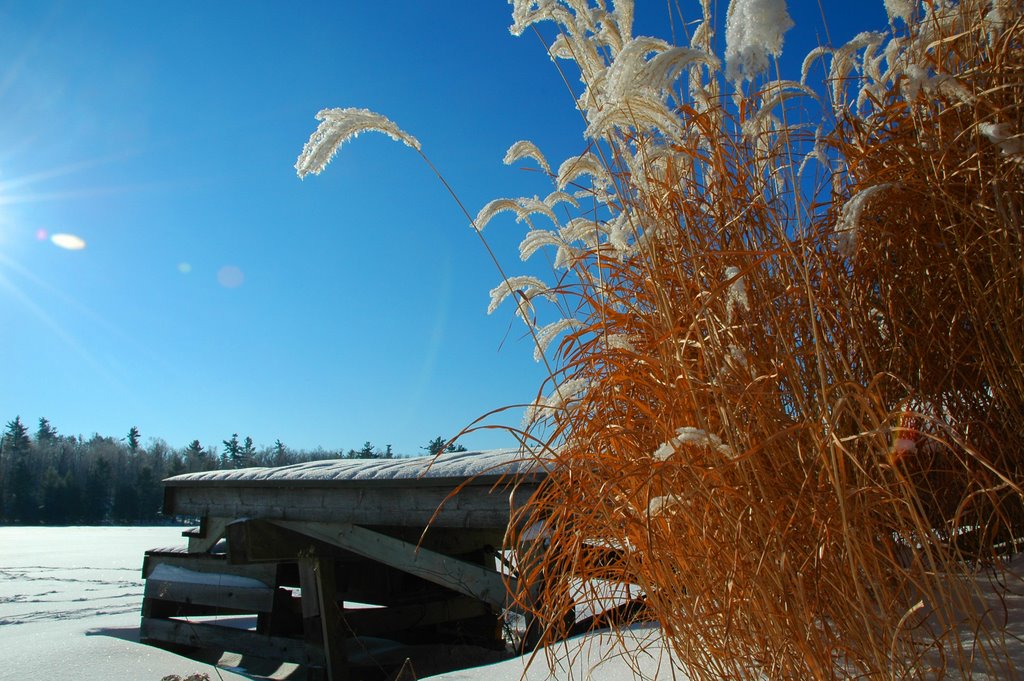 Kingsmere Lake winter by R Pone