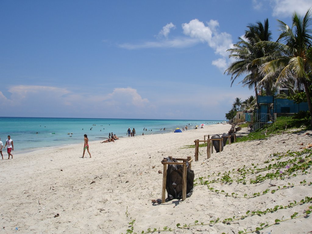 Varadero Beach and Trash Bins by Federico Vitali