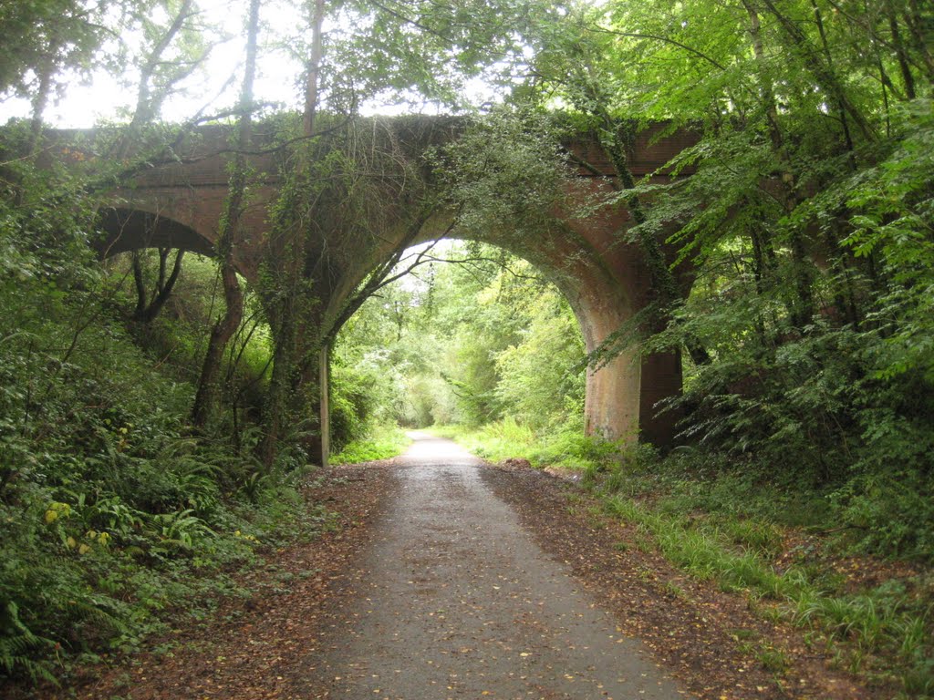 Castle Lane bridge by john5