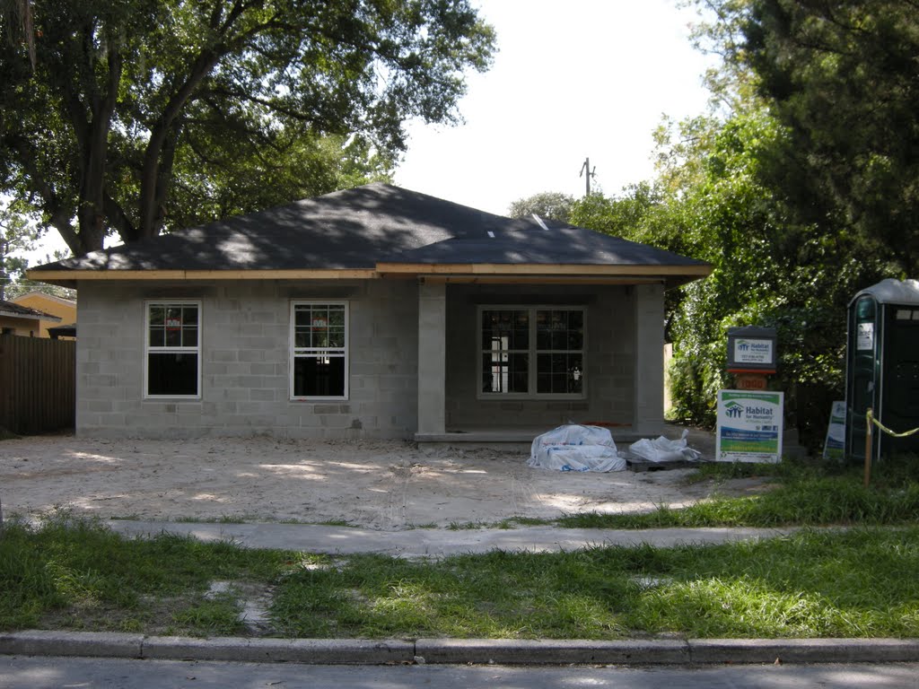 Roofing Felt and Windows! by CMCarroll