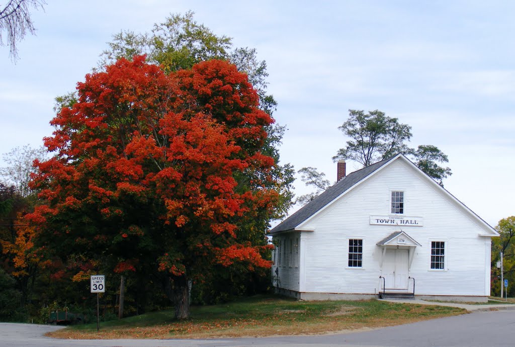 Bright fall colors. by JBTHEMILKER