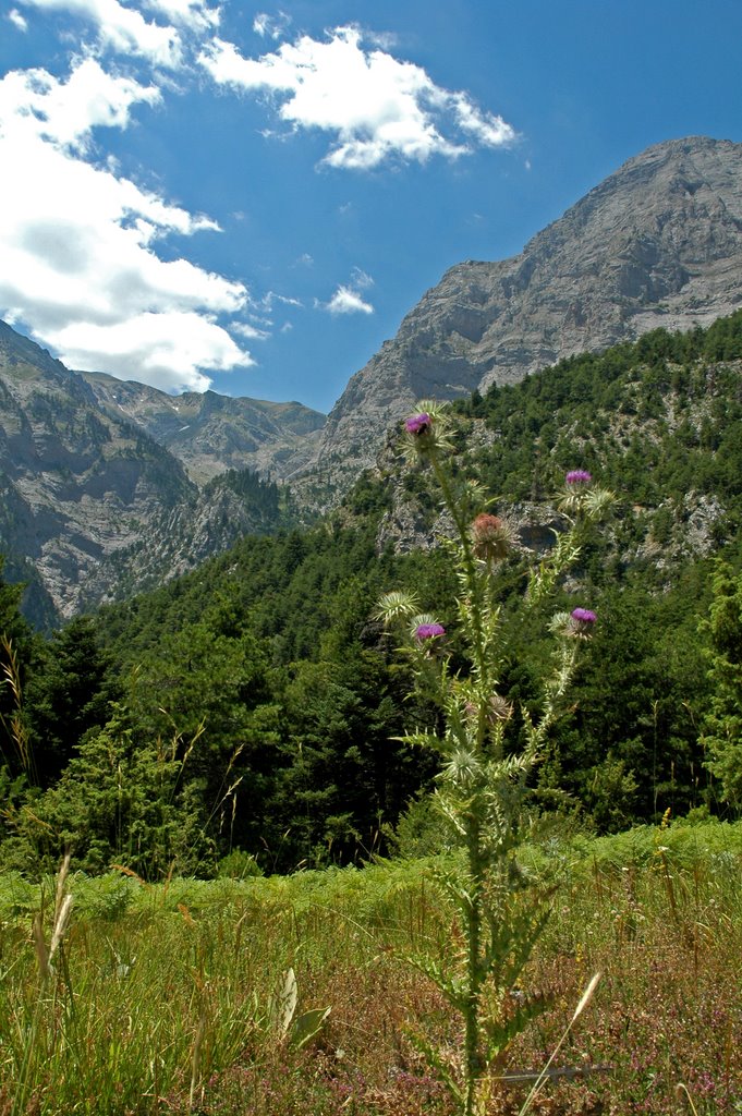 Thistle and Stygos Valley by R Pone