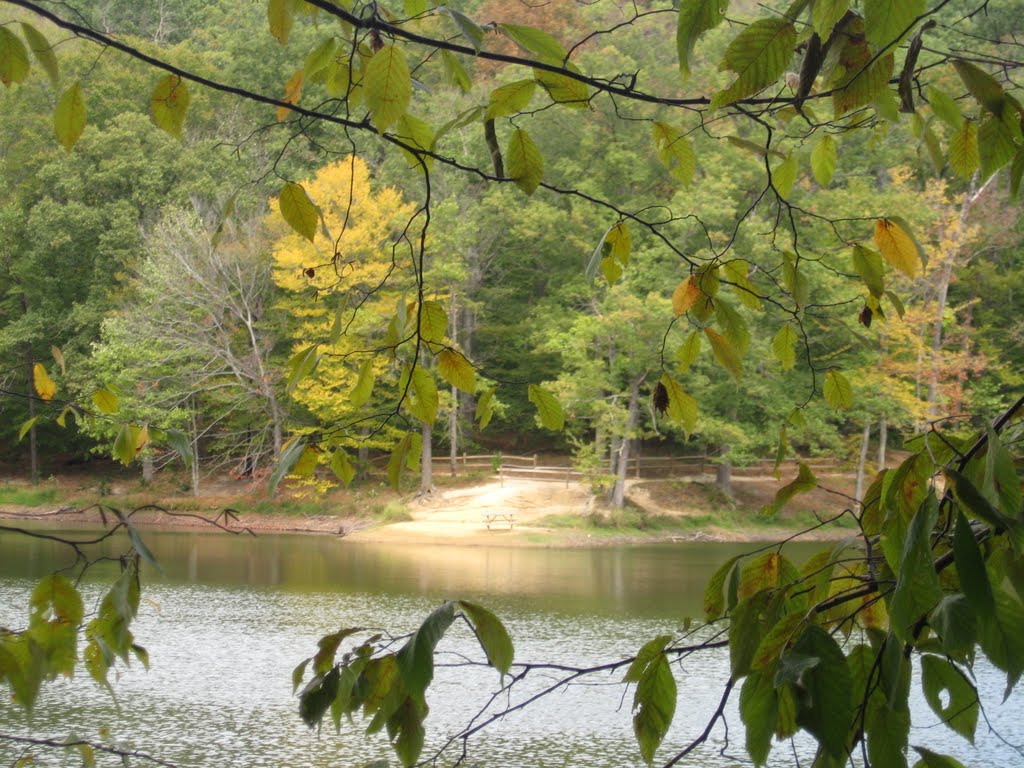 Ogle Lake Picnic area by blibby