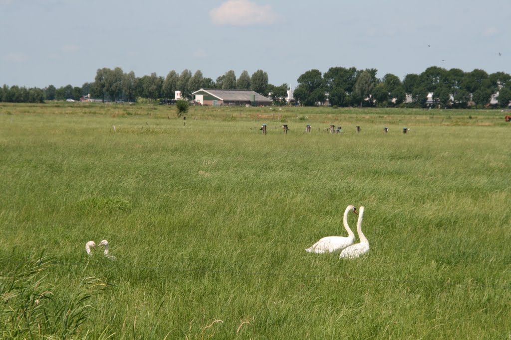 Happy family, Bunschoten. by Carl030nl