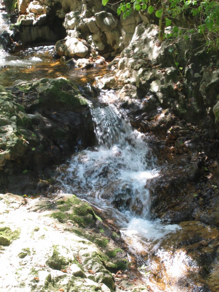 Tine de Conflens by chacal1233